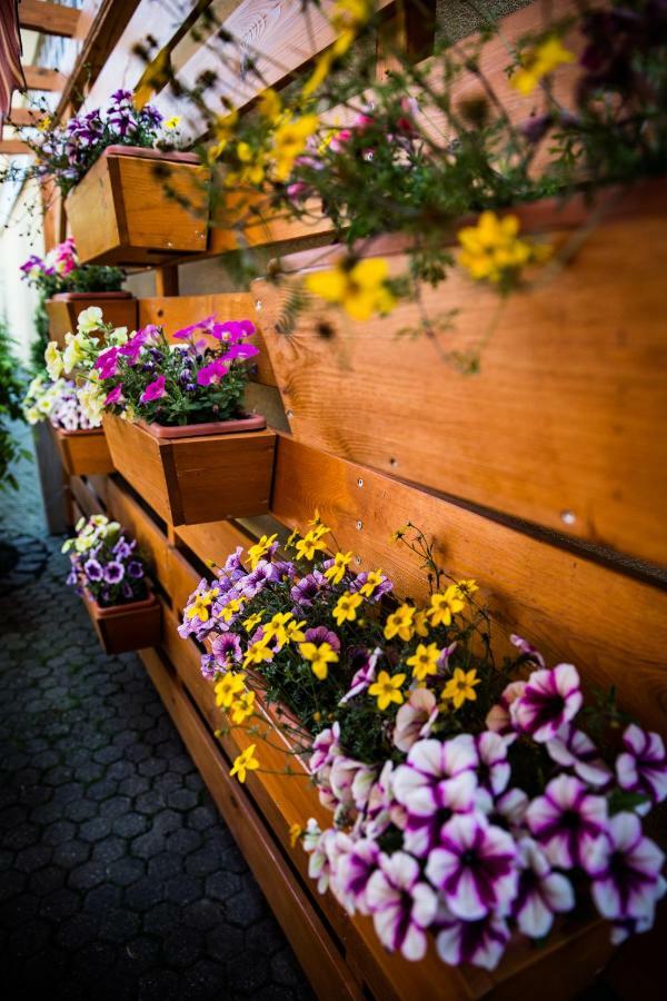Pastorale Apartman Zalaszentgrot Экстерьер фото